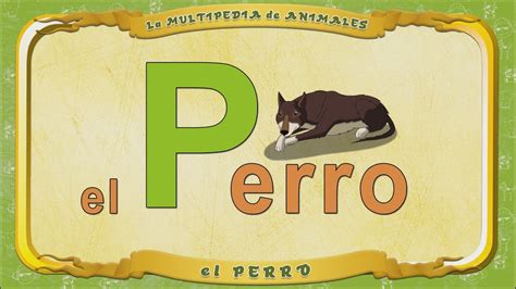 La Multipedia De Animales Letra P El Perro Youtube