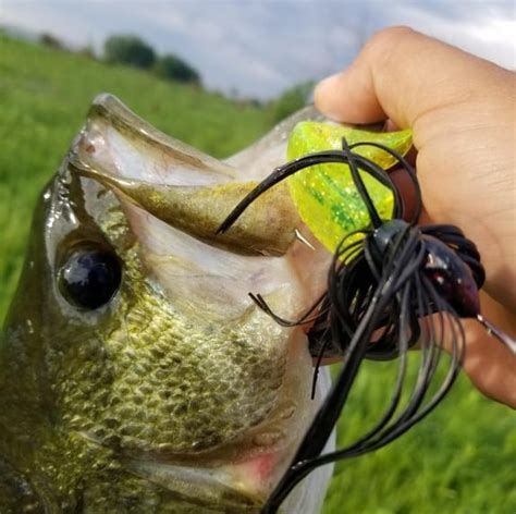 Fishing With Buzzbaits For Topwater Bass Rangetoreel