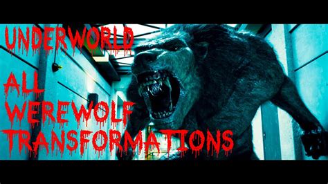 All Werewolf Transformations Best Scenes Underworld Hd Youtube