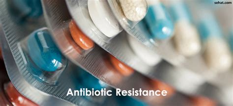 Facts To Know About Antibiotic Resistance Sehat