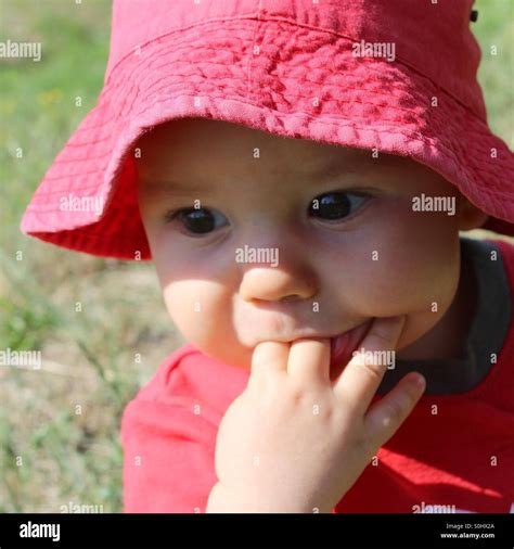 Baby Boy Sucking On His Fingers Stock Photo Alamy