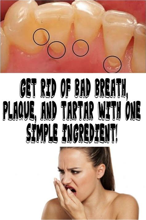 get rid of bad breath plaque and tartar with one simple ingredient oral health oral health