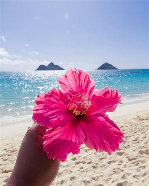 101 Things To Do In Hawaii Ultimate Hawaii Bucket List Summer