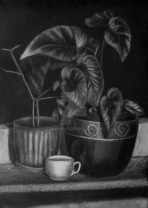 Still Life With Plants In Pots By Nanomike On Deviantart