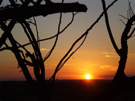 Free Images Landscape Tree Horizon Branch Silhouette Sky Sun