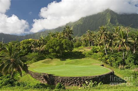 Hawaii Golf Course Landscape Photograph By Sheldon Kralstein