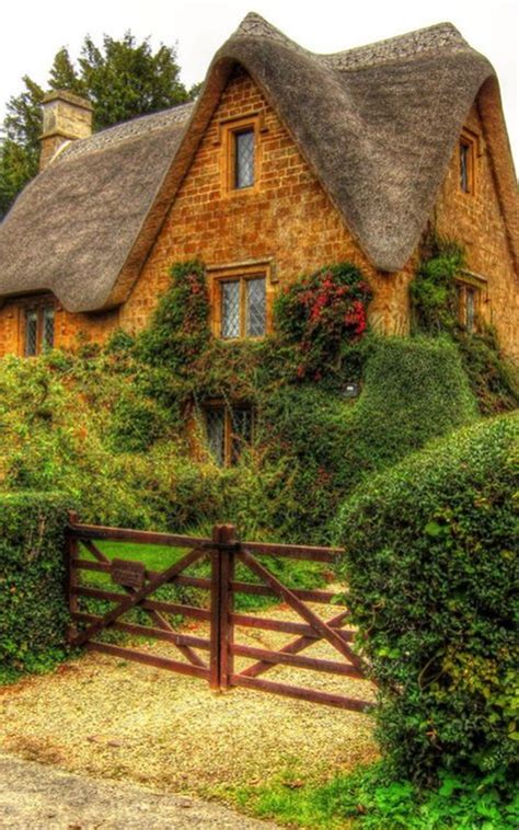 40 Beautiful Thatch Roof Cottage House Designs Bored Art