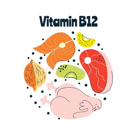 food sources vitamin b12 stock illustrations 110 food sources vitamin b12 stock illustrations