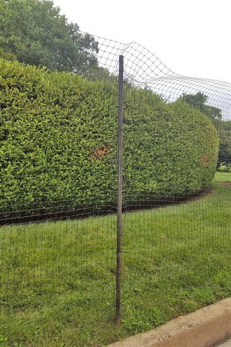 Deer fencing contractors in devon and cornwall undertaking security fencing, domestic fencing, industrial fencing, agricultural fencing, equestrian fencing and gates. How to Install a Deer Fence to Keep Wildlife Out ...