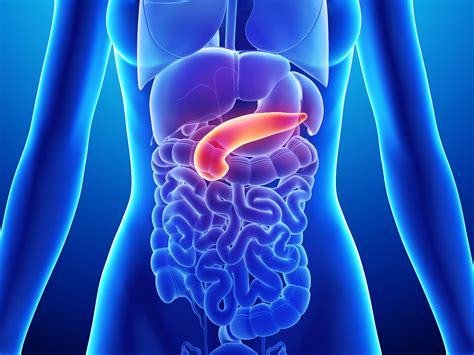 Study Reveals Type 2 Diabetes Remission Can Restore Pancreas Size And