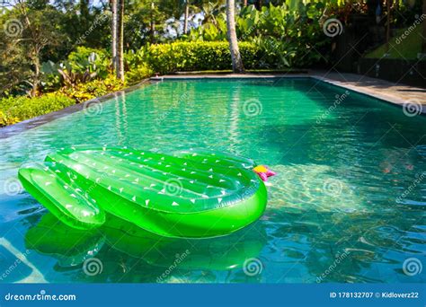 Inflatable Giant Green Cactus Pool Float Floating On Outdoor Swimming