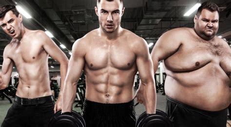 The Different Body Types | The Muscly Advisor