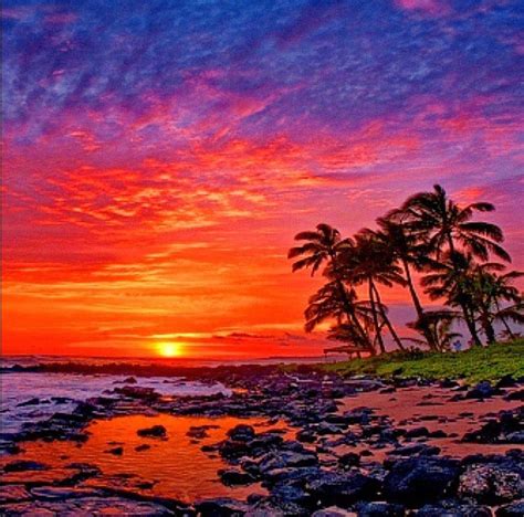 The Most Beautiful Sunsets In The World Photos Cantik