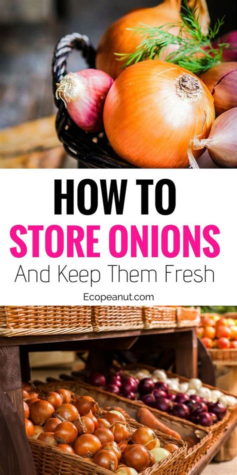 And not all vegetables are alike, which means there's no single best way to store them all. How To Keep Your Onions Fresh And Crispy In Your Own Home ...