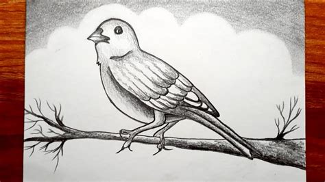 Easy Pencil Drawings Of Birds