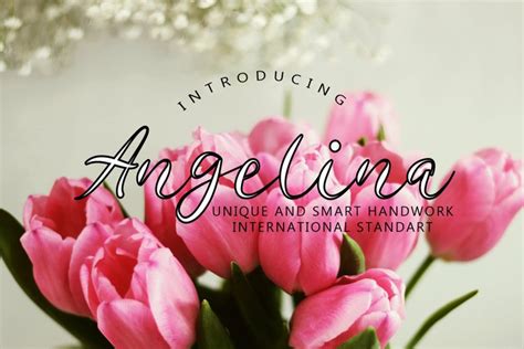 Angelina 998535 Calligraphy Font Bundles