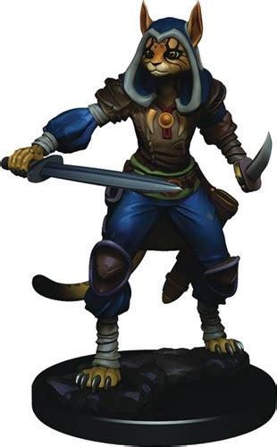 Dungeons And Dragons Tabaxi Rogue Male Premium Figure