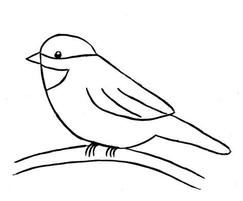 How To Draw A Bird Step By Step Easy With Pictures Bird Drawings
