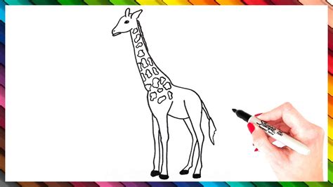 How To Draw A Giraffe Step By Step Giraffe Drawing Easy Super Easy