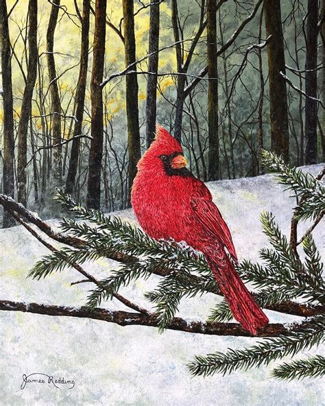 Cardinal Painting Winter Sunset Snow Painting Bird Print Etsy