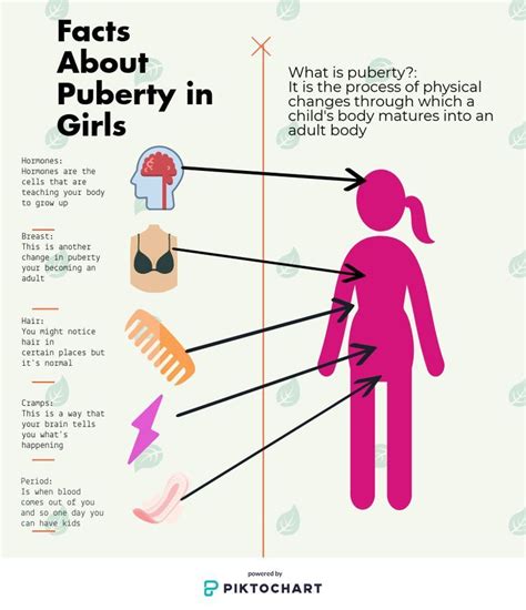 Puberty Facts Puberty What Is Puberty Puberty Changes