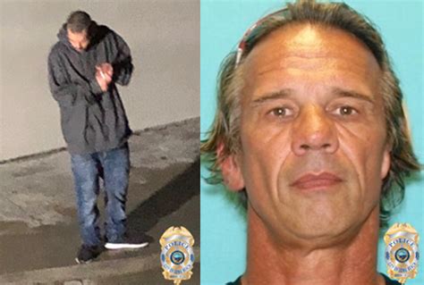 Police Arrest Peeping Tom Suspect Ask For More Victims To Come Forward • Long Beach Post News