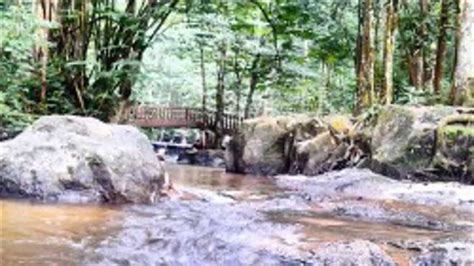 Sungai tekala recreational forest is located towards the eastern border of selangor. Sungai Tekala Amenity Forest - Tourism Selangor