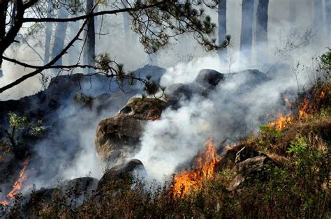 Iaf Battles Forest Blazes In Uttarakhand 75 New Fires Reported