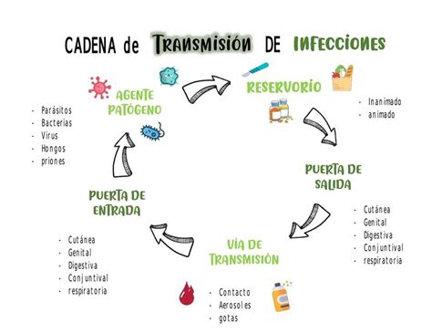 Cadena De Transmision De Infecciones Semiologia Y Enfermeria Basica I