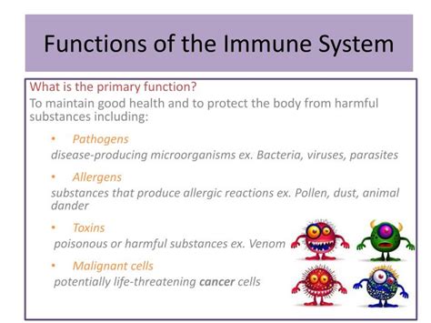 Function Of The Immune System Health Checklist