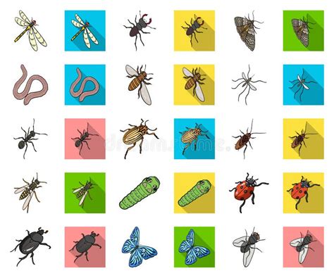 Different Kinds Of Insects Cartoonflat Icons In Set Collection For Design Insect Arthropod