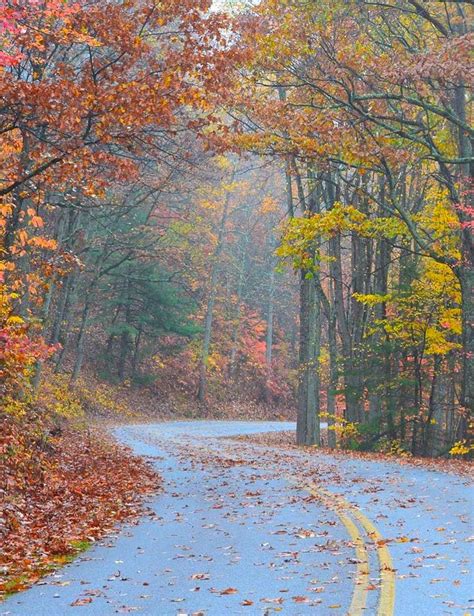 10 Places To Leaf Peep Across The Us This Fall Leaf Peeping Silver