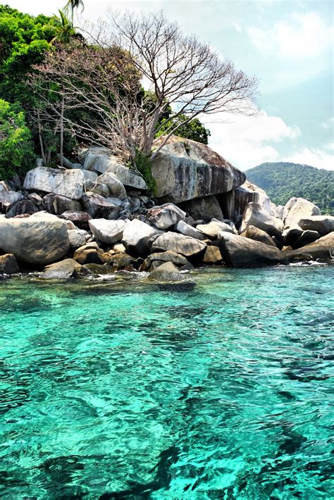 Pasalahnya pulau yang satu ini merupakan salah satu pulau dengan spot menyelam terindah di malaysia, lokasinya berjarak 16 km dari jeti mersing. Johor National Parks: the PARKS