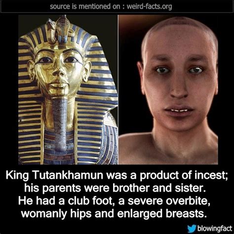 weird facts — king tutankhamun was a product of incest his