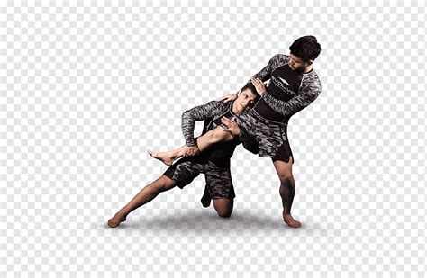 Ultimate Fighting Championship Mixed Martial Arts Professional