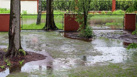 How To Prevent Backyard Flooding Nice Backyards
