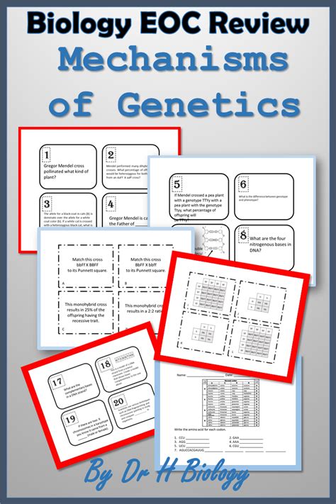 Prokaryotic cell both cells eukaryotic cell explain the. Biology STAAR Review - Mechanisms of Genetics | Biology, Biology lessons, Middle school science ...