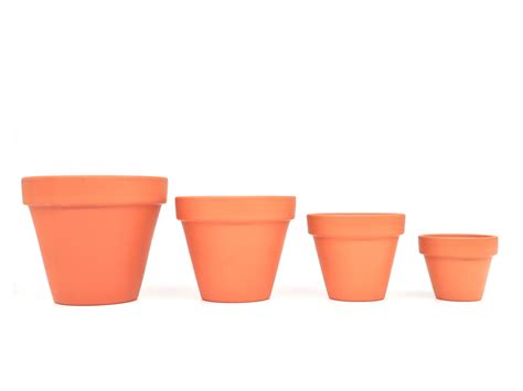 Mini Terracotta Plant Pots Small To Extra Large Sizes Livemoor