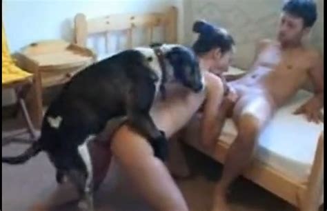 Dog porno köpek kızı sikiyor Maçka Porno HD sex izle