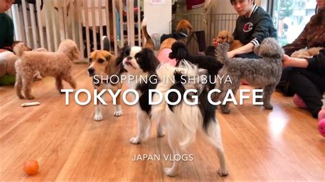 Tokyo Dog Cafe And Clothes Shopping Shibuya Japan Vlogs Youtube