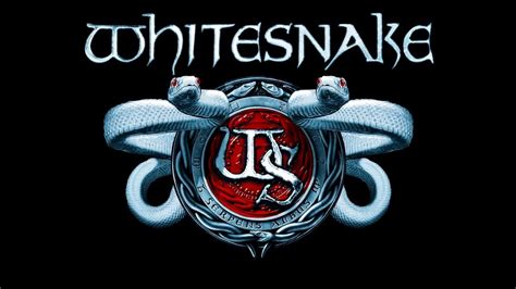 Whitesnake Top 10 Songs Youtube