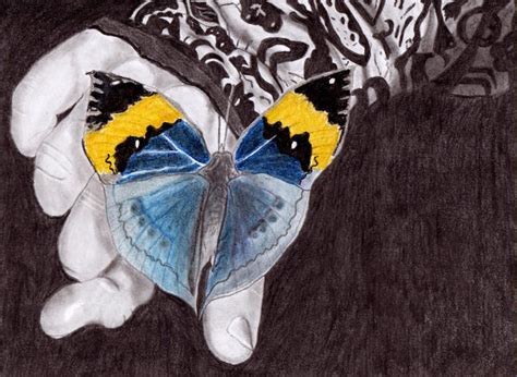My Butterfly Avatar Drawing By Nikusz88 On Deviantart