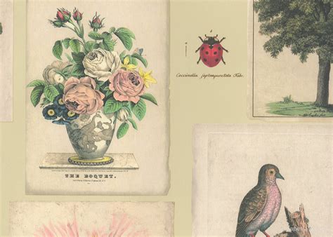 Want to bring eternal spring into your home? John Derian Designers Guild Picture Book Wallpapers Flora ...