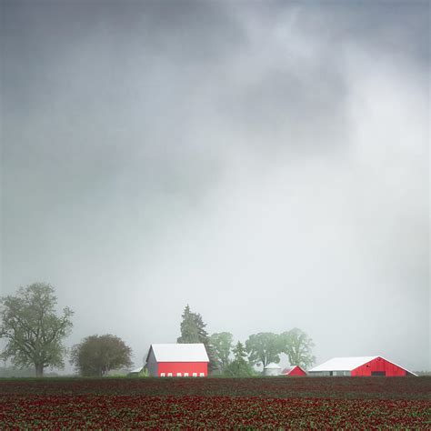 Foggy Spring Morning In The Country Photograph By Don Schwartz Fine