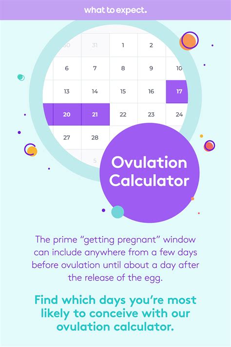 Pregnancy Calculator By Ovulation Date Calculatoruk Gdr