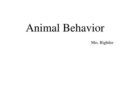 Ppt Animal Behavior Powerpoint Presentation Free Download Id1818616
