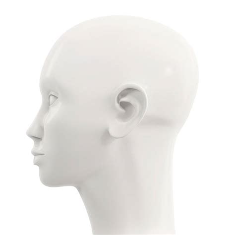 Mannequin Head Stock Photos Pictures And Royalty Free Images Istock