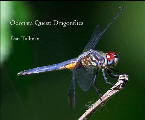 Odonata Quest Dragonflies By Dan Tallman Blurb Books Uk