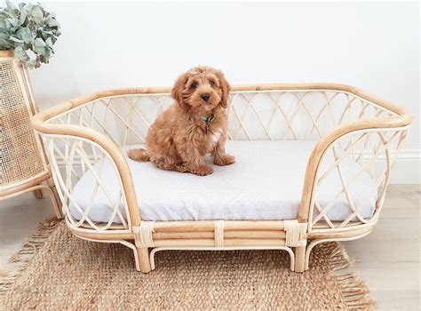 15 Wicker Dog Bed Ideas For Australians Dogs Of Australia