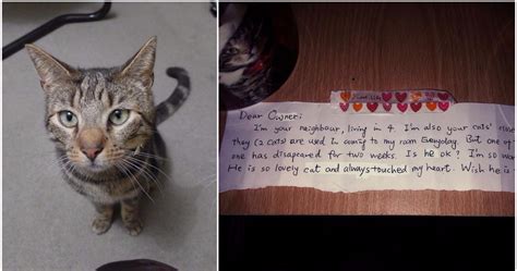 When A Mans Cat Died This Note From His Neighbor Made Everything Better